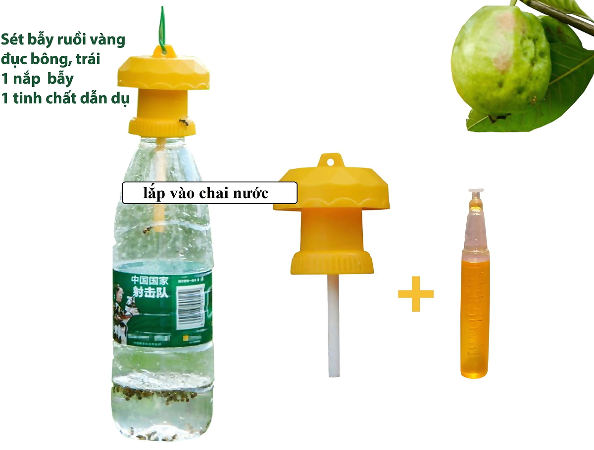 Bộ 10 chiếc nắp bẫy ruồi vàng đục trái, dụng cụ quản lý ruồi hại trái lắp với chai nhựa